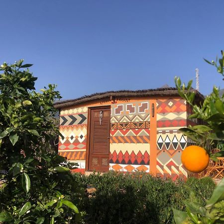 Afrikan Krisant Tenerife, Casa Rural Ecologica Arafo Dış mekan fotoğraf