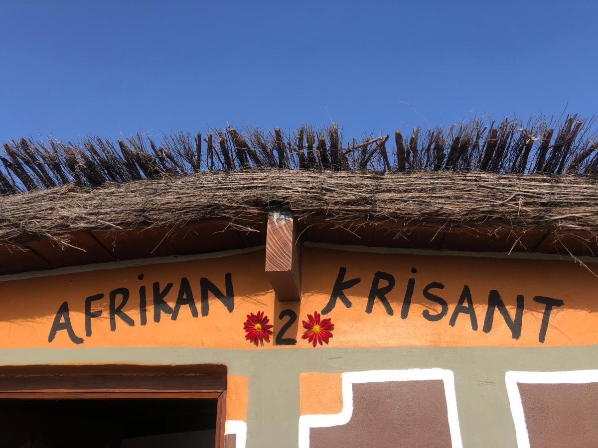 Afrikan Krisant Tenerife, Casa Rural Ecologica Arafo Dış mekan fotoğraf