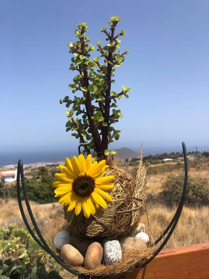 Afrikan Krisant Tenerife, Casa Rural Ecologica Arafo Dış mekan fotoğraf