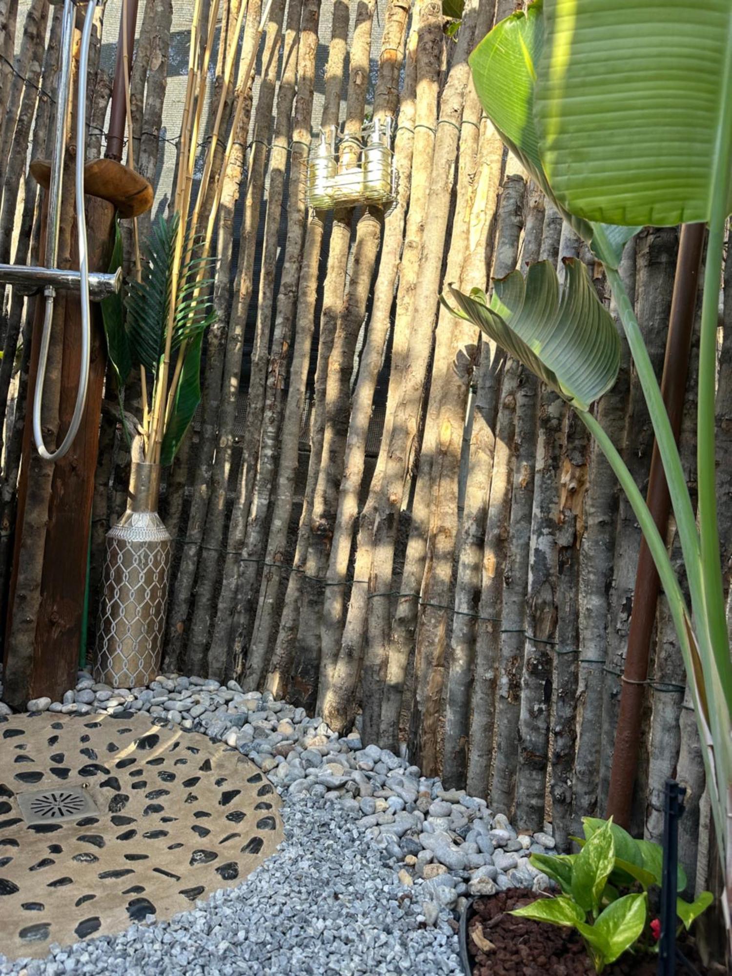 Afrikan Krisant Tenerife, Casa Rural Ecologica Arafo Dış mekan fotoğraf