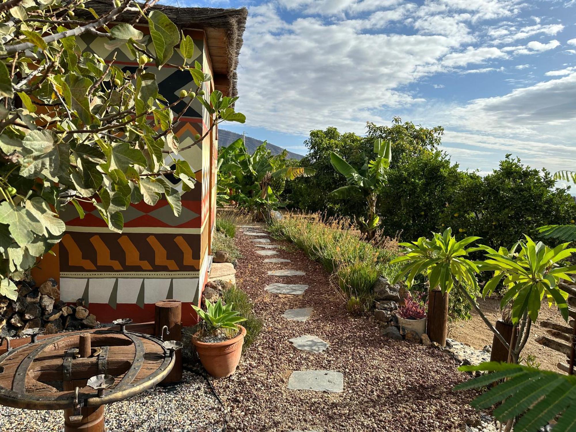 Afrikan Krisant Tenerife, Casa Rural Ecologica Arafo Dış mekan fotoğraf